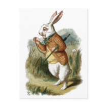 White Rabbit from Alice in Wonderland