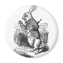 White Rabbit magnets