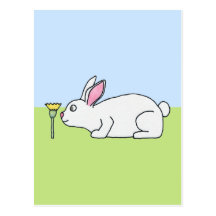 White Rabbit. On a Lawn. Postcard