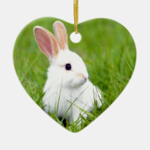White Rabbit Ornament