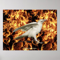 White Raven & Flames Art Poster
