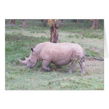 White Rhino Greeting Card