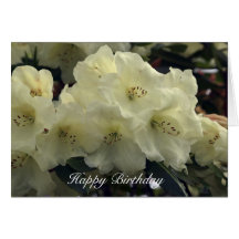 White Rhododendrons Greeting Card