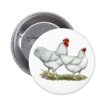 White Rock Chickens Pinback Button