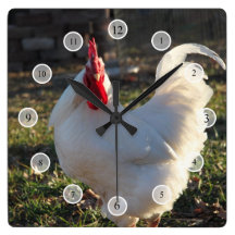 White Rooster Wall Clock
