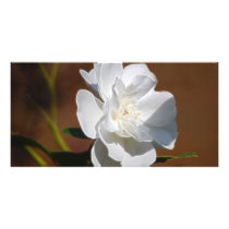 White Rose and meaning Personalized Photo Card