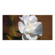 White Rose and meaning Personalized Photo Card