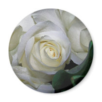 White Rose & Baby breath flowers_ Refrigerator Magnet