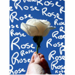 White rose, blue back, Rose written in white Photo Cut Outs