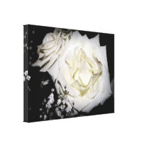 White Rose Canvas Stretched Canvas Print
