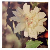 White rose tiles