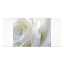 White Rose Customized Photo Card