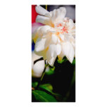 White rose full colour rack card