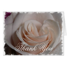 White Rose Greeting Card