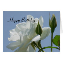 White Rose - Happy Birthday Greeting Card