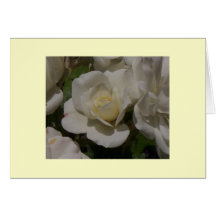 White Rose Invitation Greeting Cards