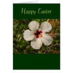 White Rose Mallow Hibiscus Easter Card