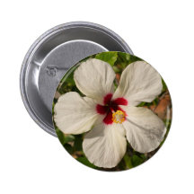 White Rose Mallow Hibiscus Flower Pins