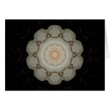 'White Rose' Note/ Invitation/ Greeting Card