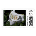 White Rose postage