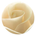 White Rose stickers