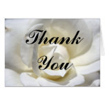White Rose, Thank You Card