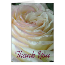 White Rose Thank You Note Cards