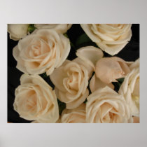 White Roses Poster