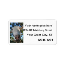 White saanen dairy goat doe nose close up HI Personalized Address Labels