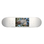 White saanen dairy goat doe nose close up HI Skateboard