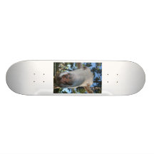 White saanen dairy goat doe nose close up HI Skateboard