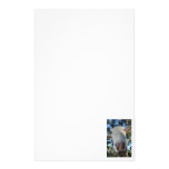 White saanen dairy goat doe nose close up HI Stationery