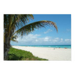 White Sand Beach w/Palm posters
