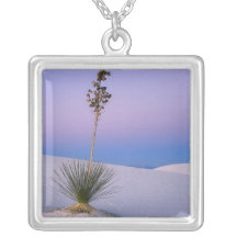 WHITE SANDS NATIONAL MONUMENT, NEW MEXICO. PENDANTS