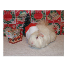 White Santa Pig Post Card