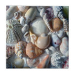 White Seashells Square Tile