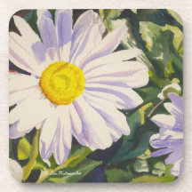White Shasta Daisies Coasters