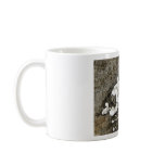 White Shelf Mushrooms Coffee Mugs