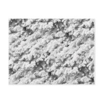 White Shrubs PostCard