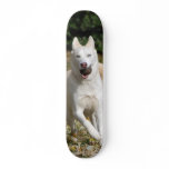 White Siberian husky skateboard