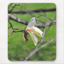 White spring flower mousepad