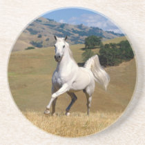 White Stallion coasters