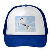 White stallion horse rearing hat