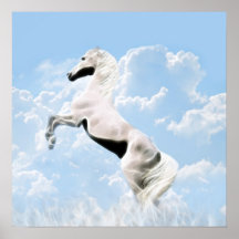 White stallion horse rearing print