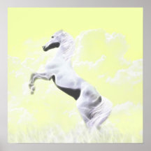 White stallion horse rearing print
