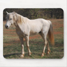 White Stallion Mouse Pads