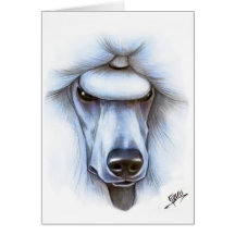 White Standard Poodle Greeting Cards