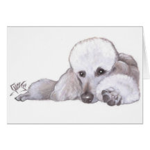 White Standard Poodle in Repose Greeting Cards