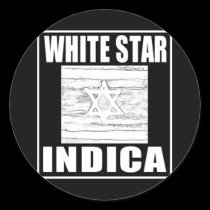 WHITE STAR INDICA stickers