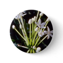white Stephanotis floribunda flowers Pinback Button
